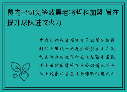 费内巴切免签波黑老将哲科加盟 旨在提升球队进攻火力